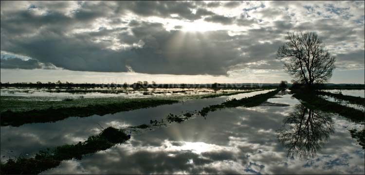 Winter floods, Somerset Levels