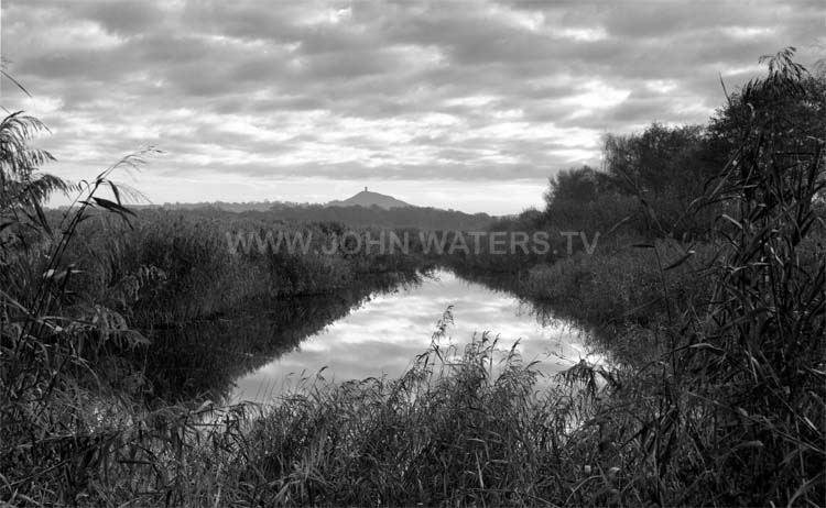 Ham Wall reedbeds near Glastonbury