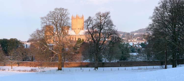 Wells Cathedral