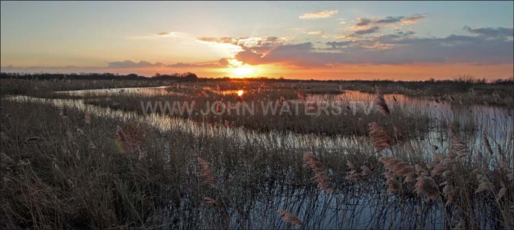 Westhay reedbeds