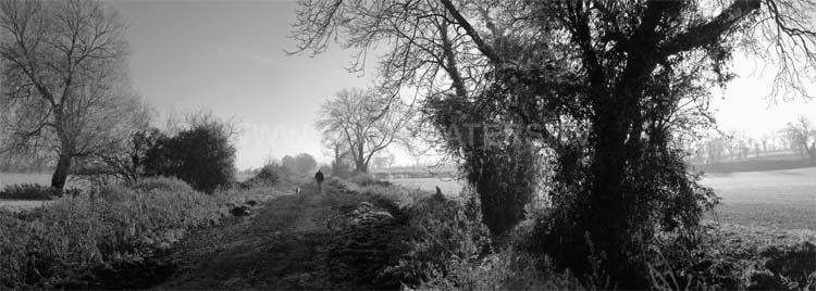 Frosty track, Somerset Levels