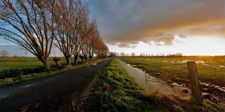 The Somerset Levels, Tealham Moor