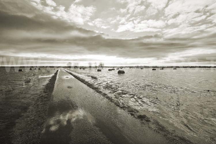 Winter floods on the Somerset Levels