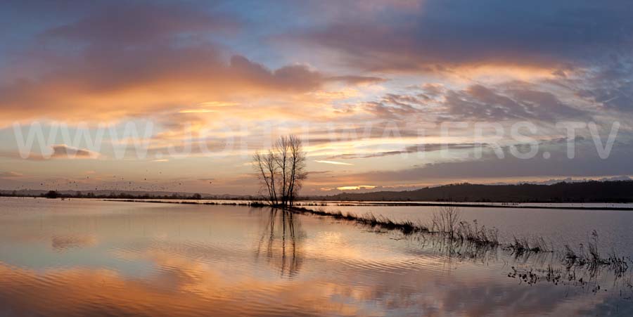 King's Sedge Moor in flood, Somerset