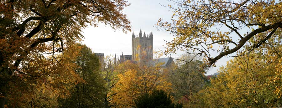 Wells Cathedral, Somerset