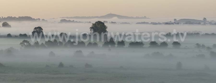 Somerset Levels misty dawn