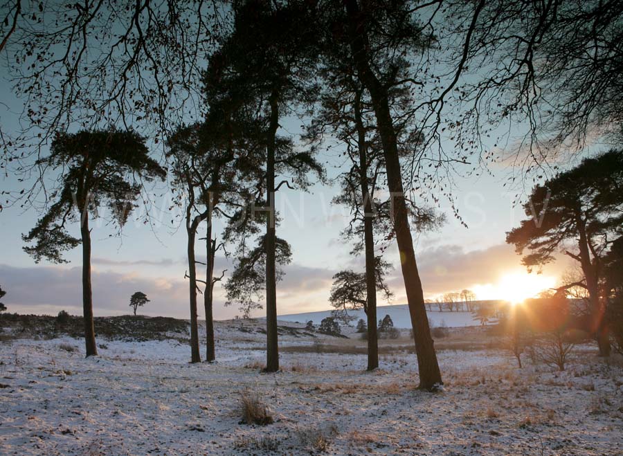 Priddy Mineries in winter