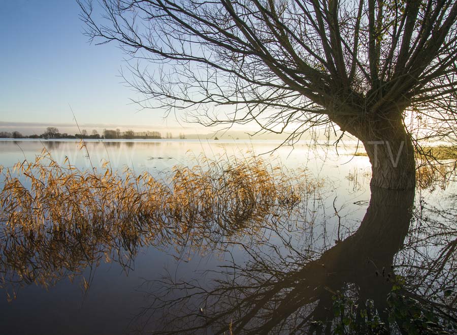 The Somerset Levels in flood