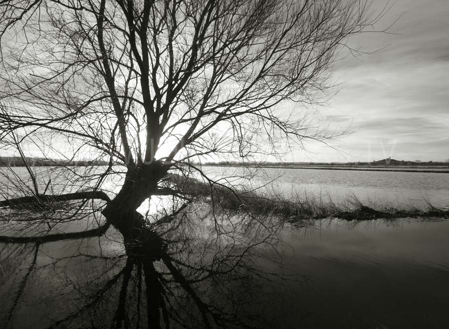 Flooded fields near Burrowbridge