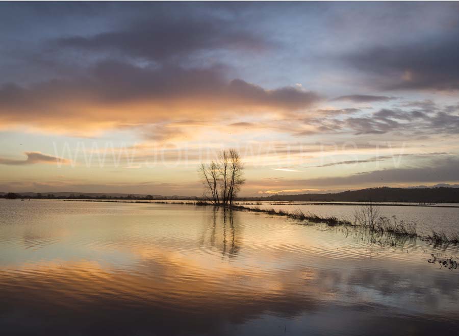 King's Sedgemoor in flood