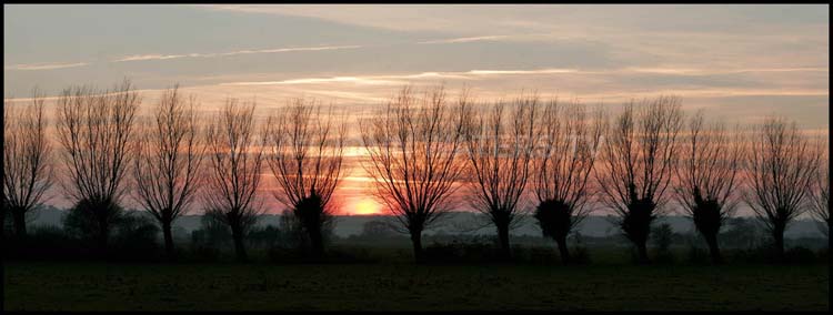 The Somerset Levels