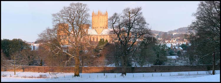 Wells Cathedral