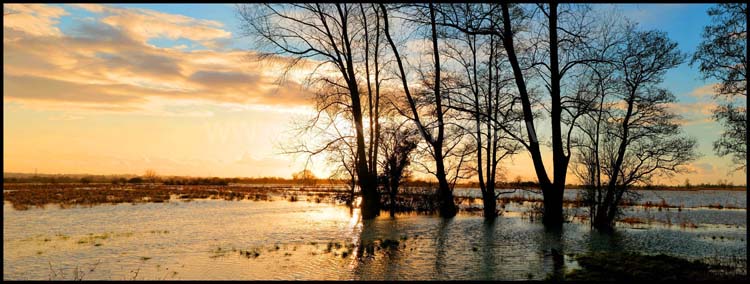 The Somerset Levels