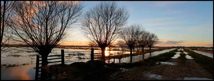 The Somerset Levels