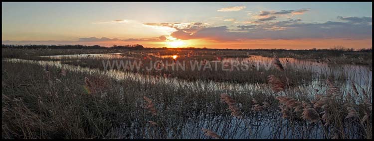 Sunset reedbeds
