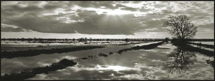 The Somerset Levels