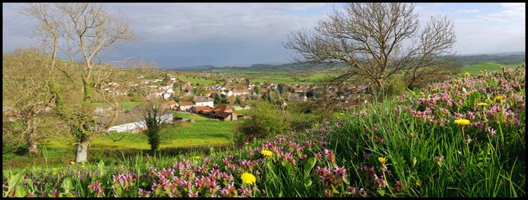Westbury-sub-Mendip