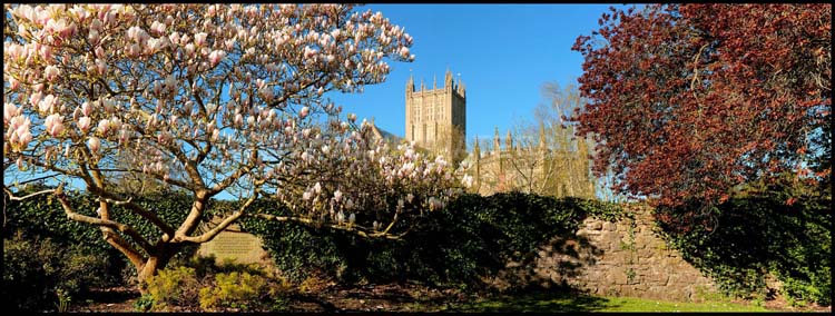 Wells Cathedral