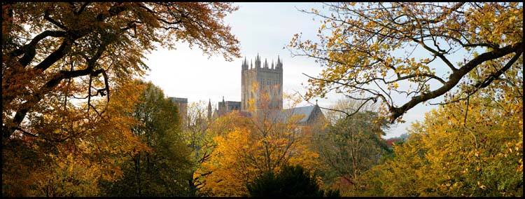 Wells Cathedral