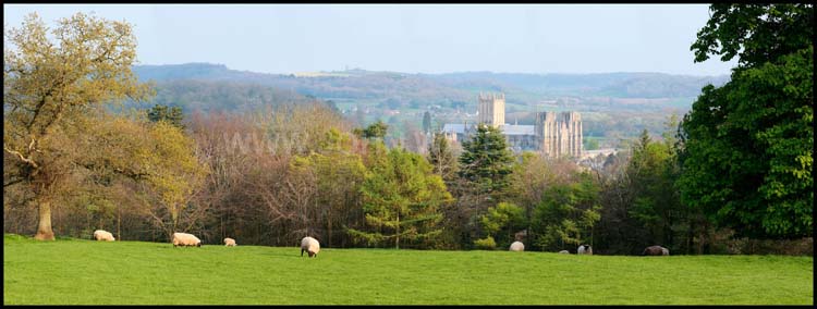 Wells Cathedral