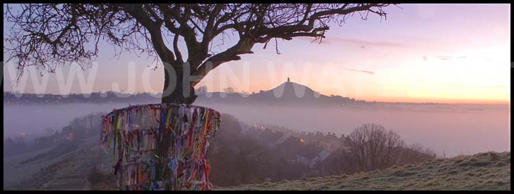Glastonbury's Holy Thorn