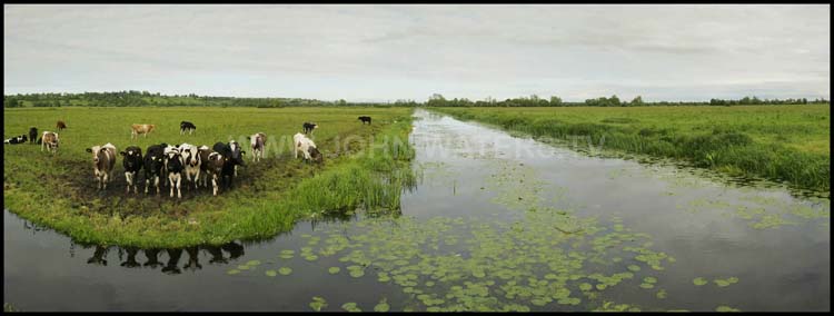 The Somerset Levels