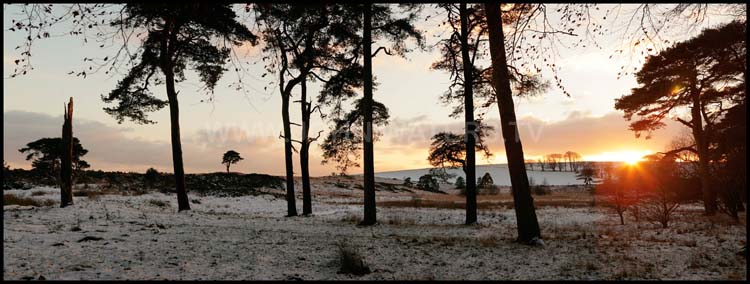 Winter on the Mendips
