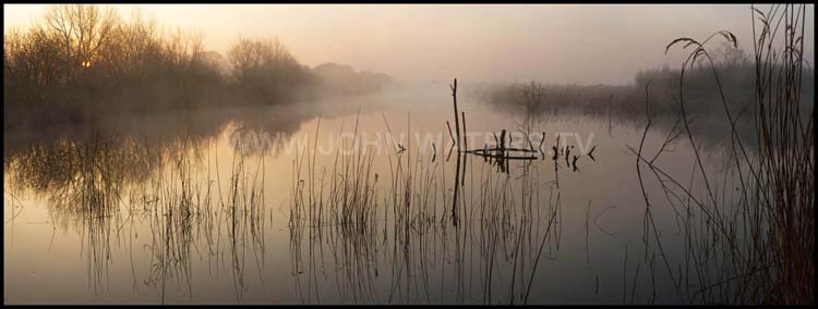 The Somerset Levels