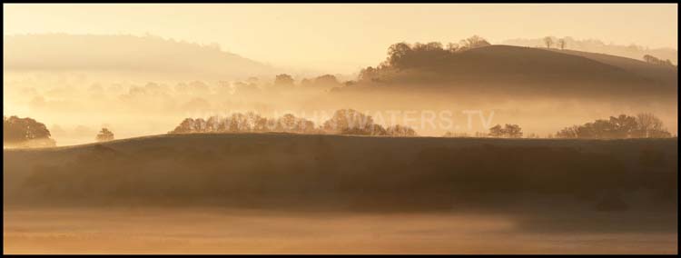Misty dawn in Somerset
