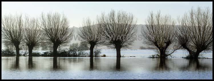 The Somerset Levels