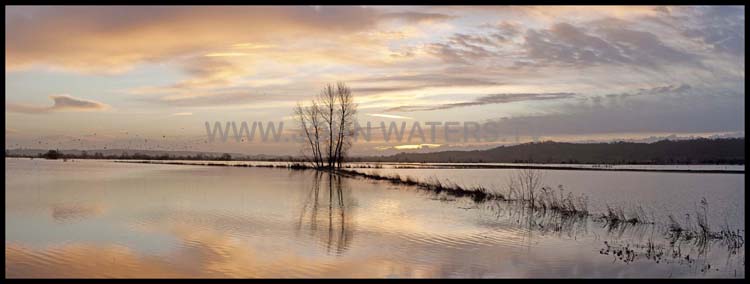 The Somerset Levels