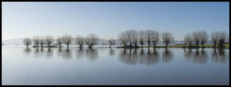 The Somerset Levels
