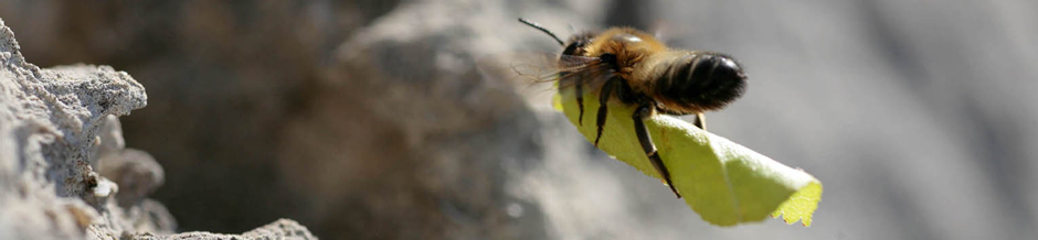 John Waters, wildlife and documentary cameraman