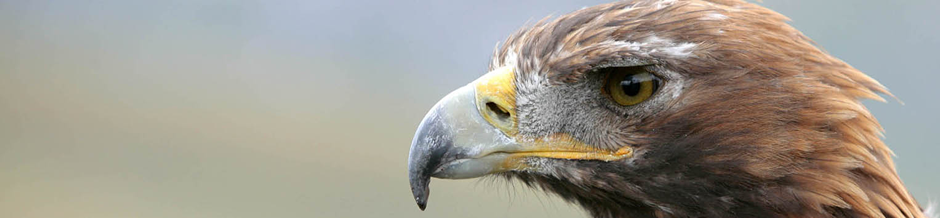 John Waters, wildlife and documentary cameraman